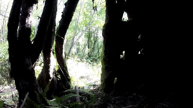 Анна Рыбинская проект смотреть онлайн