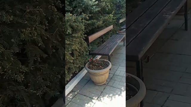 Очень красиво возле Храма в Орлином смотреть онлайн