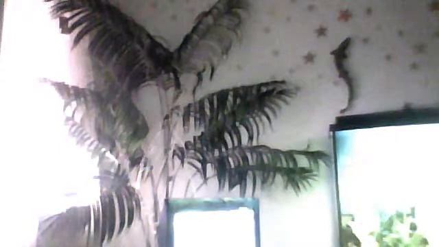 Видео с веб-камеры. Дата: 20 октября 2013 г., 23:14.