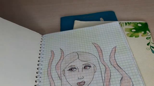 Куда можно использовать пустые тетрадки и блокноты? смотреть онлайн