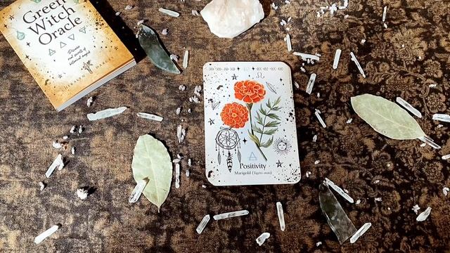 Green Witch Oracle Unboxing + Flipthrough смотреть онлайн