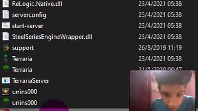 como innstalar y descargar terrari sin problemas pc de bajos recursos смотреть онлайн