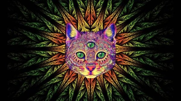 Best Rave/Party Songs Mix #1: PSY TRANCE, MINIMAL, GOA TRANCE, HEAVY BASS