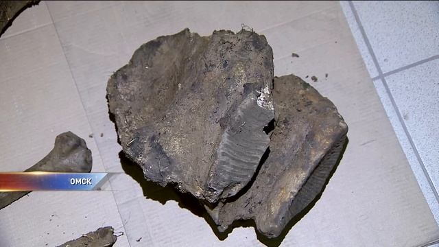 Коммунальщики откопали кости мамонта смотреть онлайн