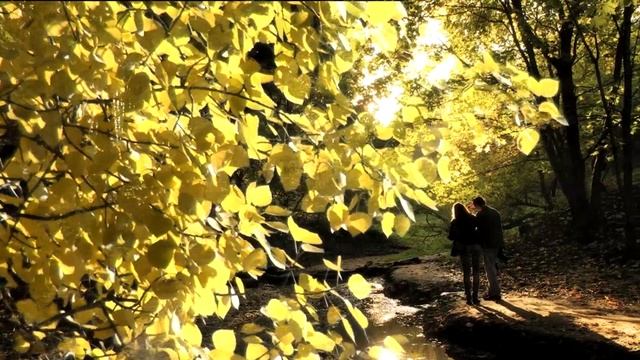 Прощание с осенью . Осенняя любовь, романтическое настроение и про грибы . HD смотреть онлайн