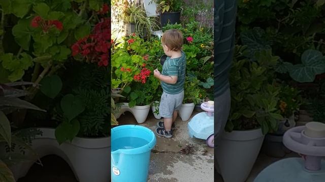С Дином поливаем цветы.Хотелосьбы узнать приучаете вы детей к труду или лишнее? смотреть онлайн