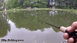 Форель. ZEMEX AURORA