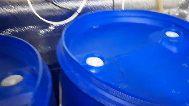 Акваферма работает 4 месяца, особенности. смотреть онлайн