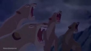 Симба занял трон отца. Рождение Киары. Финальная сцена