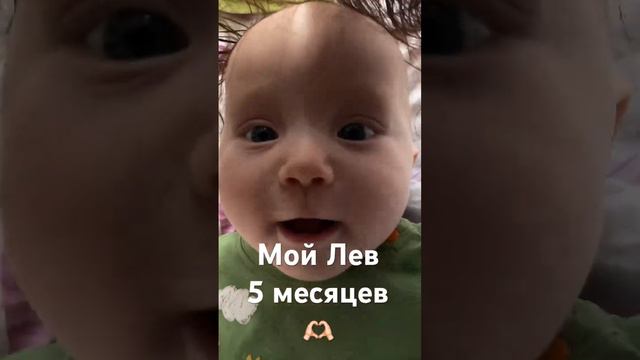 #лев #5месяцев #малыш #навык #любовь #игрыдлядетей #развитиеребенка #мамавдекрете смотреть онлайн