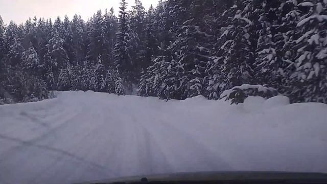 Сами давим и раскатываем себе путь до дачи #car #offroad #respect #toyota #дача смотреть онлайн