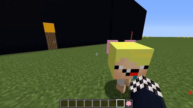 ⚫️⚪️ПРЯТКИ НО ТОЛЬКО ЧЁРНЫЙ И БЕЛЫЙ ЦВЕТ В МАЙНКРАФТ! ШЕДИ ЛЕСКА И НУБИК ЧЕЛЛЕНДЖ MINECRAFT смотреть онлайн