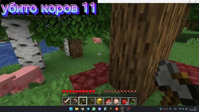 Убийство 30 коров в Minecraft/Minecraft