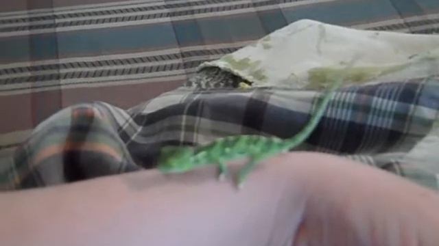 Finn Color Changing смотреть онлайн