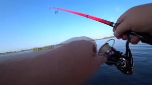 Ловля окуня на Поппер