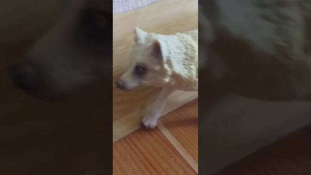 давайте наберём 14 подписчиков,и будут ещё видео такого типа смотреть онлайн