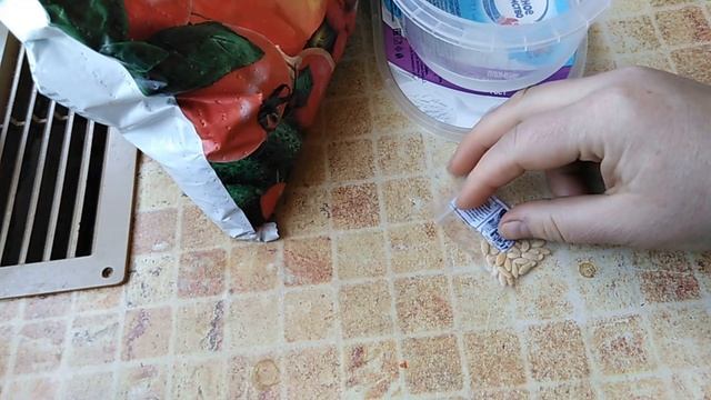 Китайские помидоры с Алиэкспресс От посадки до урожая смотреть онлайн