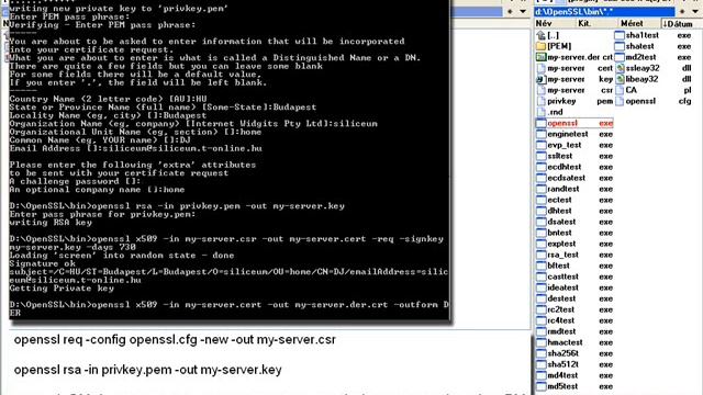 SSL HTTPS Apache смотреть онлайн