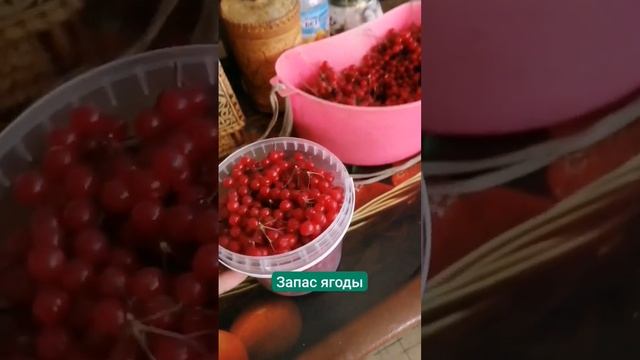 Запасы ягоды #буяновсыроед #олегбуянов #калина #запасы смотреть онлайн