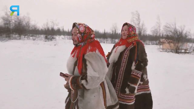 Девушка волонтёр в тундре. Алёна Сэротэтто | ЯСАВЭЙ. Кочевник XXI века. 2 часть смотреть онлайн