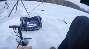 Форель на Безлимите | Ловля на Платнике | Паноптикс