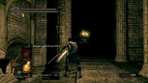 Dark Souls подробно [16] - Катакомбы