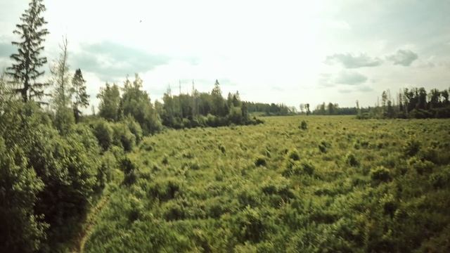 Брачные танцы ФПВ Дронов.