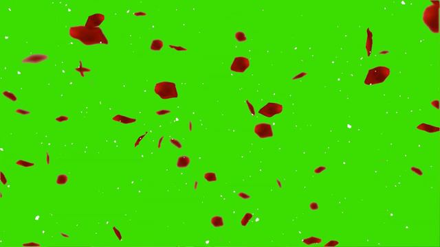 Incredible Rose Petals Falling Green Screen, Chroma Key Falling Rose Petals, Pantalla Verde