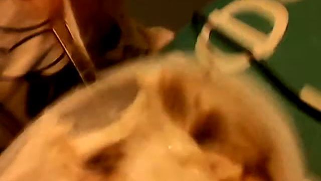 Кушаю творожок и обзор пеза 1 часть смотреть онлайн