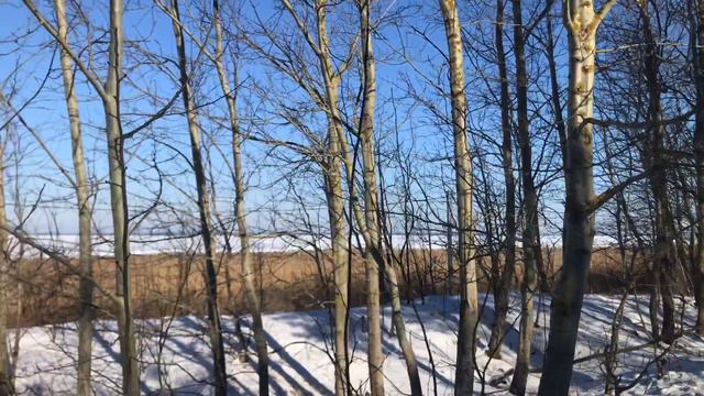 Посёлок Ушаково