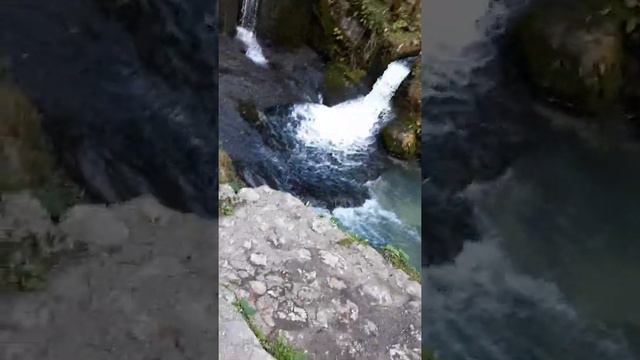 Заповедник Симона Канонита. Урны из пеньков. смотреть онлайн