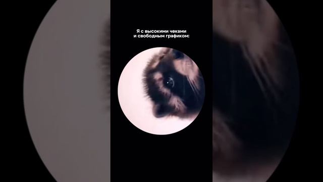 SMM или нормальная работа?😏