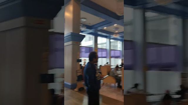 Capital O oyo Royal Palm hotel Geregaon Mumbai смотреть онлайн