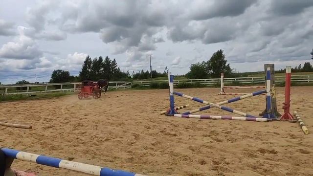 Конный драйвинг в Western Horse. Видео 3 смотреть онлайн