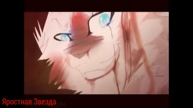 Коты - Воители Снегоухий - Ну и что, что я псих?! ( Заказ ) смотреть онлайн