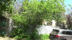 7 марта. Малахов.