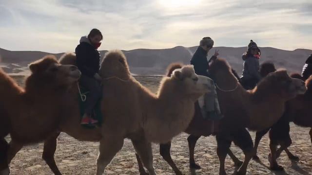 Mongolia Gobi Desert Road Trip смотреть онлайн