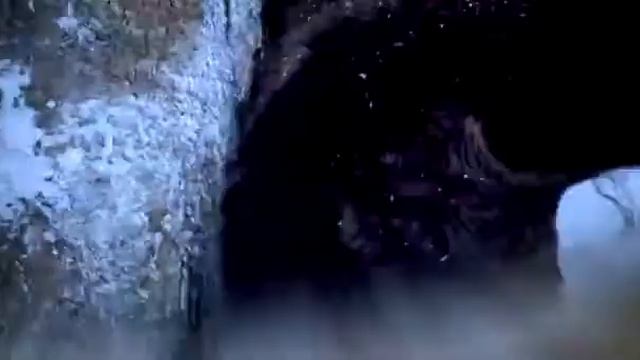Огромный тигр и храбрый охотник смотреть онлайн