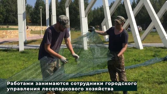 Спасая зелень 11.08.2020 смотреть онлайн