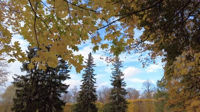 Таллинн /Осенний Кадриорг/ Зарисовки природы /Estonia,Tallinn/ Park Kadriorg (4К) смотреть онлайн
