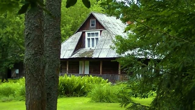 История настоящей лесной ведьмы - Симона Коссак смотреть онлайн