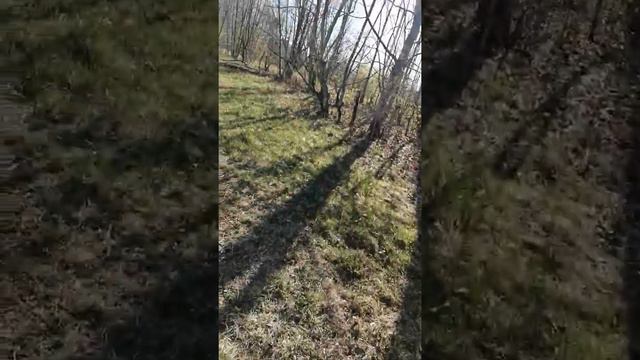 36 ОВДБР смотреть онлайн