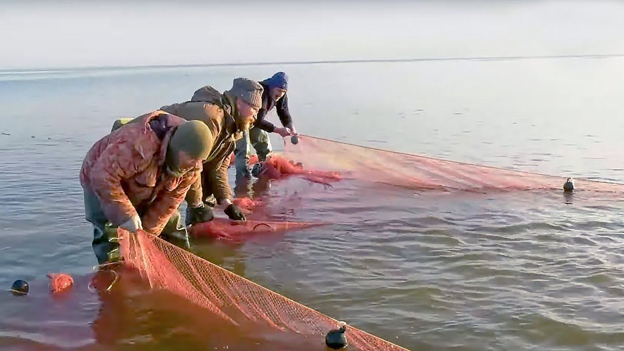 Большая рыба. Часть 2 | С Полем! 26.10.2020 смотреть онлайн