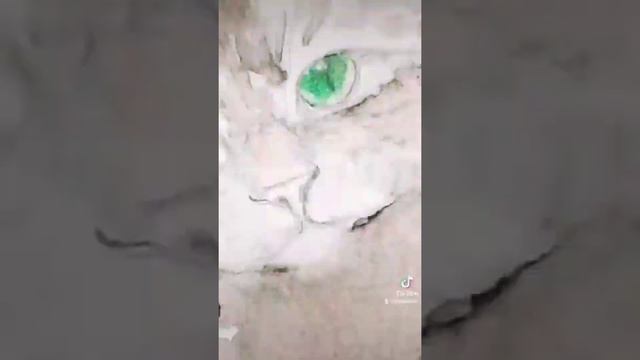 кіт акварелью, кот акварелью, рисунок акварелью арт смотреть онлайн