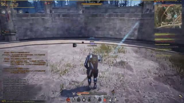 Black Desert Полный Гайд: Воин (Warrior) - Билд / Экипировка. От и До.