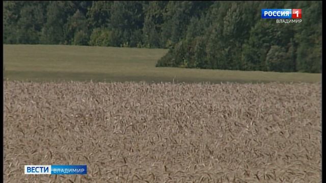 Депутаты требуют поддержать аграриев Владимирской области смотреть онлайн