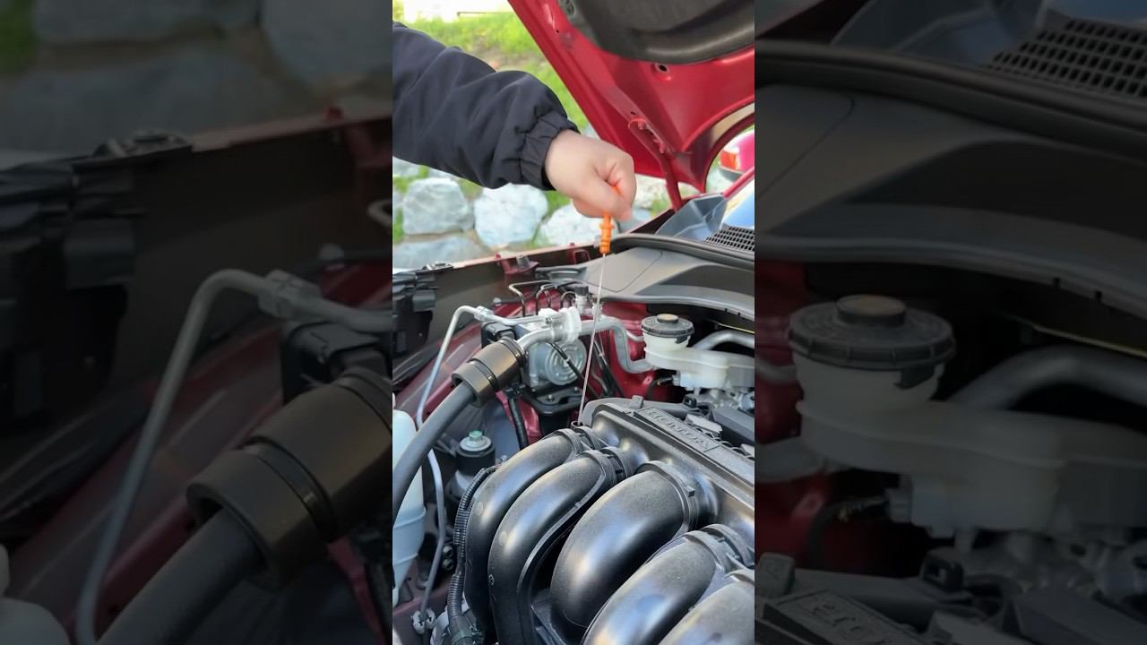 Как проверить масло в машине ? Honda Velez #авто #автомобили #машина #подзаказ #обзор #масло смотреть онлайн