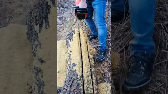 продольный распил шелковицы на слебы по методу адвоката егорова пиломатериал своими руками смотреть онлайн