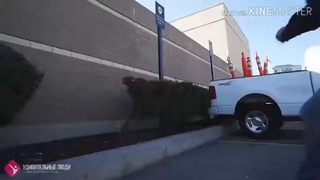 Паркур. Номинация номер 1. Паркур против охраны смотреть онлайн