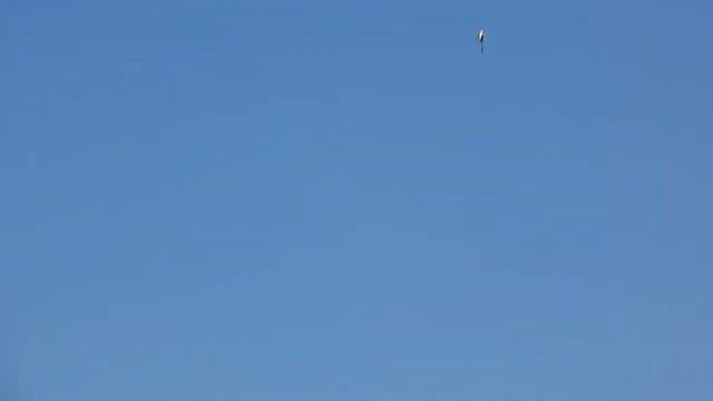 T Rex 550 helicopter flights Novosibirsk ч22 смотреть онлайн